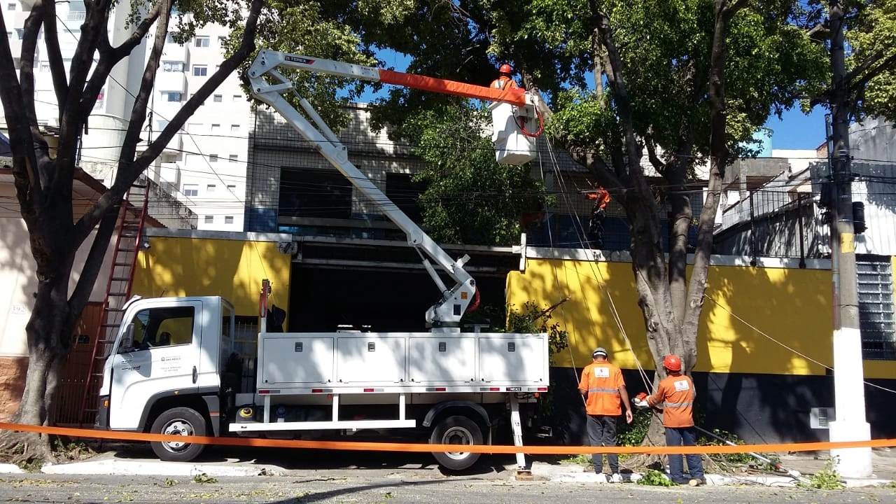 Lei autoriza particular a podar ou suprimir árvore após inércia do poder público